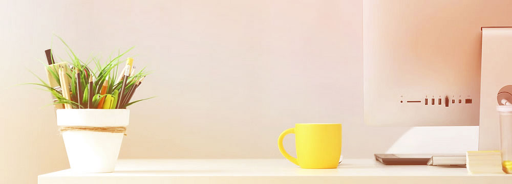 soft light photo with a computer, plant and coffee mug